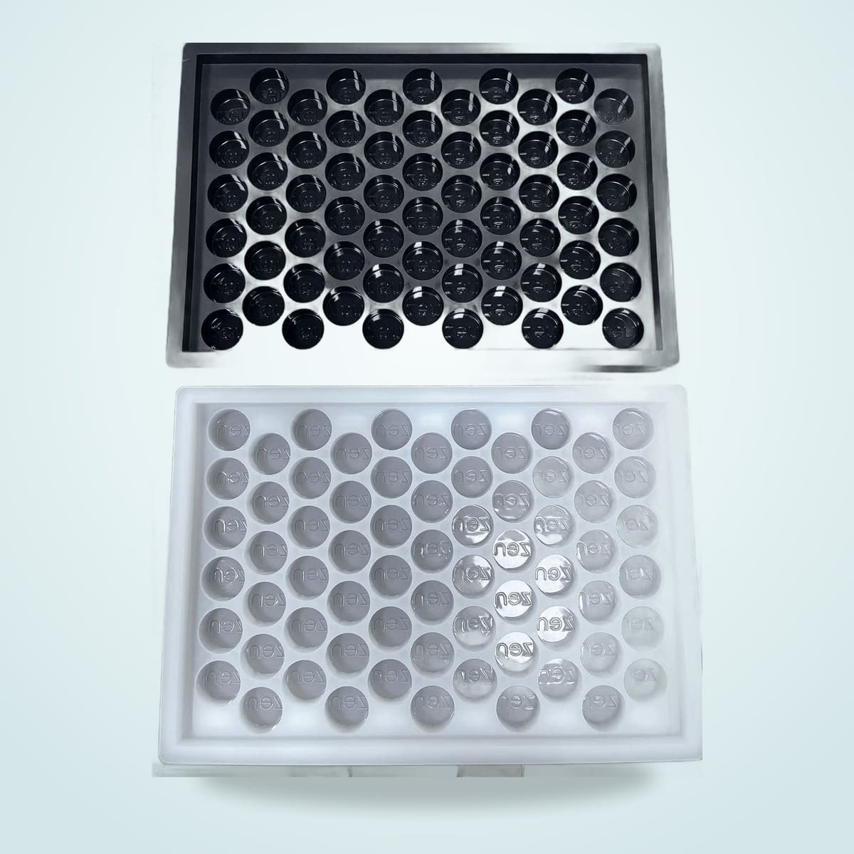 Chocolate Molds